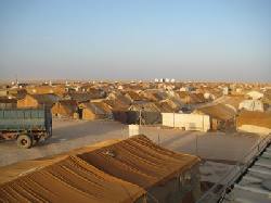 http://www.paliraq.com/images//223313.jpg