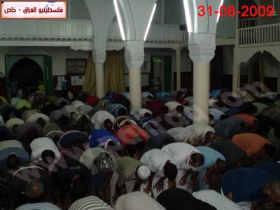 http://www.paliraq.com/images/Cybros/larnka-rmdan40.jpg