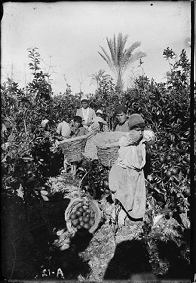 http://www.paliraq.com/images/history/yafa/yafa07.jpg
