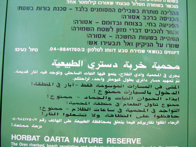 http://www.paliraq.com/images/kura%20haefa/kura%20hefa%20%2812%29.jpg