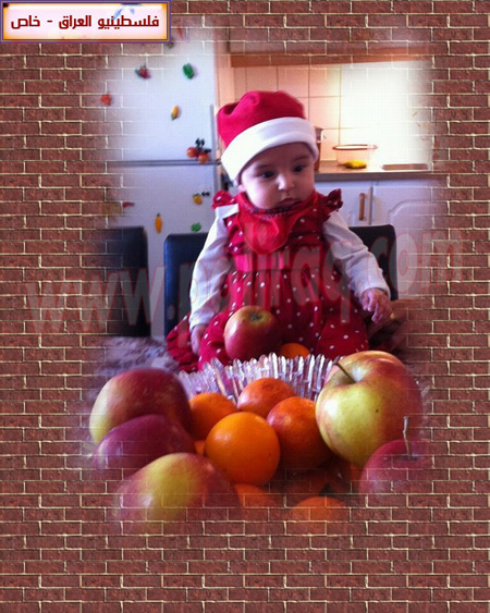 http://www.paliraq.com/images/lam-alshaml/wedadmosashabban/securedownload2.jpg