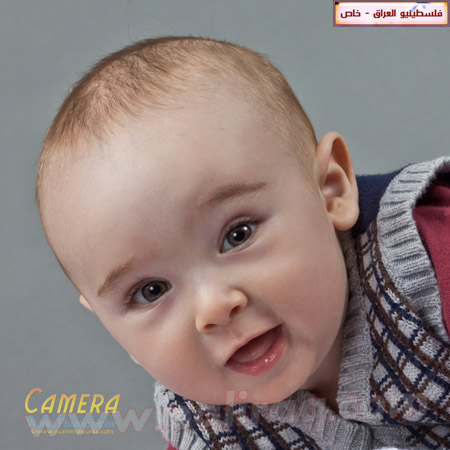 http://www.paliraq.com/images/lam-alshaml/yousif_thaershafeeq/CWP201112030078_pp.jpg