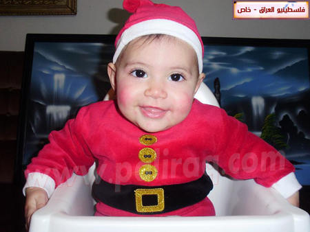 http://www.paliraq.com/images/paliraq2010/gazalsamernees/10.jpg