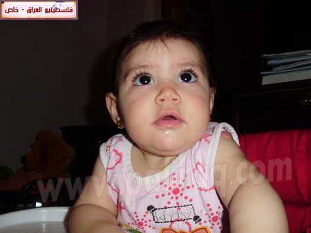 http://www.paliraq.com/images/paliraq2010/gazalsamernees/12.jpg
