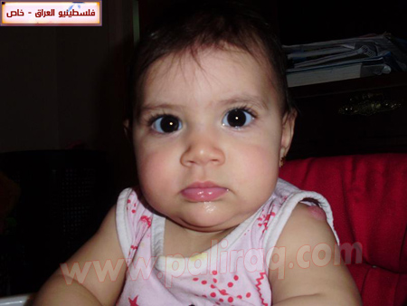 http://www.paliraq.com/images/paliraq2010/gazalsamernees/14.jpg