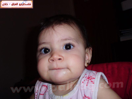 http://www.paliraq.com/images/paliraq2010/gazalsamernees/15.jpg