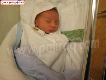http://www.paliraq.com/images/paliraq2010/wessamhussamaljamal/IMG_0014.jpg