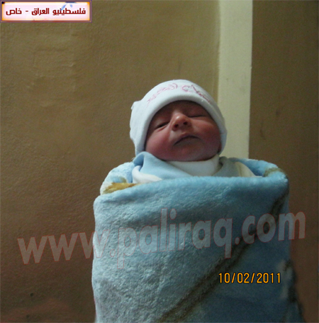 http://www.paliraq.com/images/paliraq2011/ahmadwaelhonhonbirth/IMG_0801.jpg