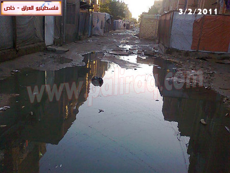 http://www.paliraq.com/images/paliraq2011/baladeyaat3-2-2011/baladeyaat19.JPG