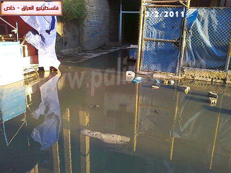 http://www.paliraq.com/images/paliraq2011/baladeyaat3-2-2011/baladeyaat21.JPG