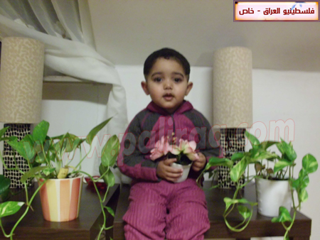 http://www.paliraq.com/images/paliraq2011/motazyakoobwiladah/CIMG0258.JPG