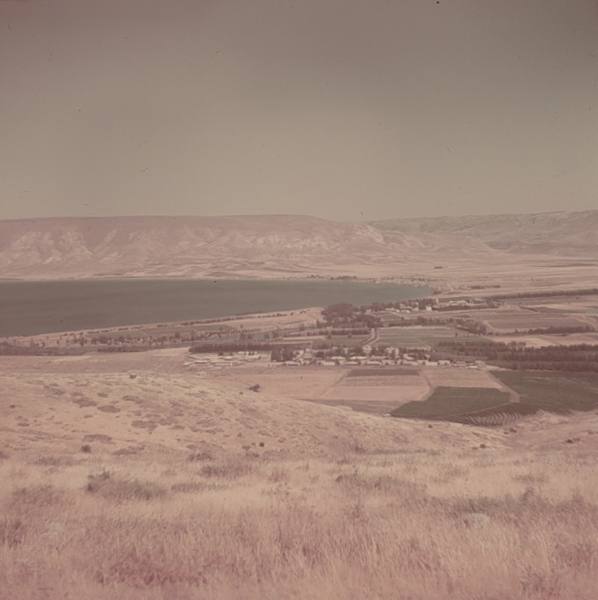 http://www.paliraq.com/images/paliraq2011/tantooraehabsalemm/10.jpg