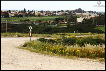 http://www.paliraq.com/images/paliraq2012/atleet/a%20%2811%29.jpg