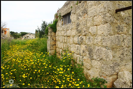 http://www.paliraq.com/images/paliraq2012/atleet/a%20%2812%29.jpg