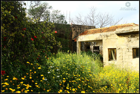 http://www.paliraq.com/images/paliraq2012/atleet/a%20%2813%29.jpg