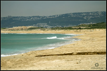 http://www.paliraq.com/images/paliraq2012/atleet/a%20%2814%29.jpg