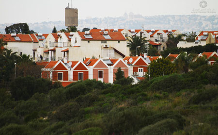 http://www.paliraq.com/images/paliraq2012/atleet/a%20%2816%29.jpg