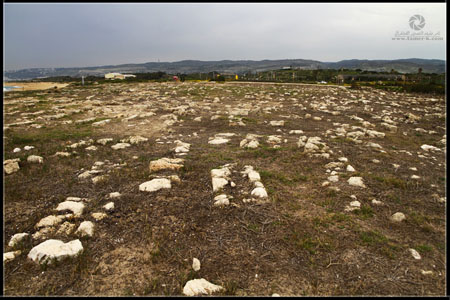 http://www.paliraq.com/images/paliraq2012/atleet/a%20%2817%29.jpg