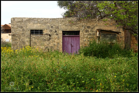 http://www.paliraq.com/images/paliraq2012/atleet/a%20%283%29.jpg
