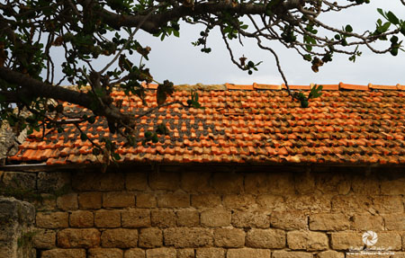 http://www.paliraq.com/images/paliraq2012/atleet/a%20%284%29.jpg