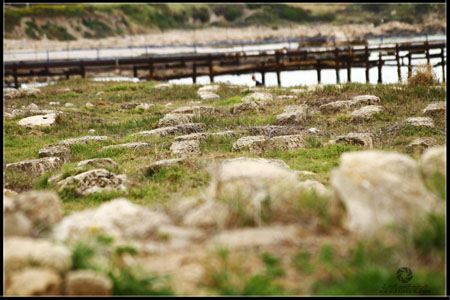 http://www.paliraq.com/images/paliraq2012/atleet/a%20%288%29.jpg