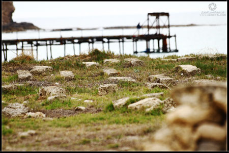 http://www.paliraq.com/images/paliraq2012/atleet/a%20%289%29.jpg