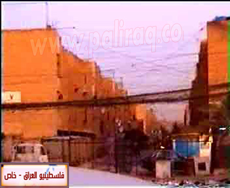 http://www.paliraq.com/images/paliraq2012/baldiat3.jpg