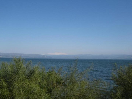 http://www.paliraq.com/images/paliraq2012/besan-tabaria/12.jpg