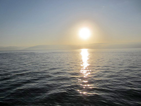 http://www.paliraq.com/images/paliraq2012/besan-tabaria/15.jpg