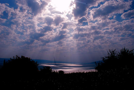 http://www.paliraq.com/images/paliraq2012/besan-tabaria/16.jpg
