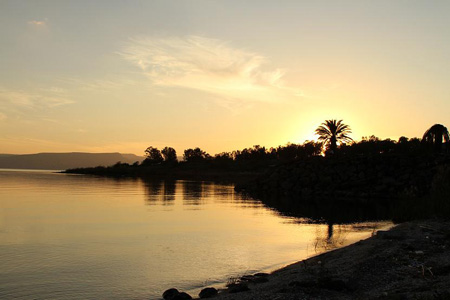 http://www.paliraq.com/images/paliraq2012/besan-tabaria/18.jpg