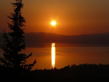 http://www.paliraq.com/images/paliraq2012/besan-tabaria/20.jpg