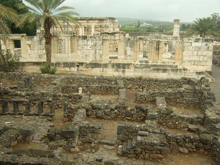 http://www.paliraq.com/images/paliraq2012/besan-tabaria/8.jpg