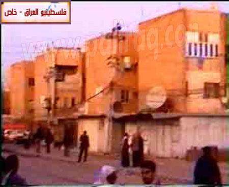 http://www.paliraq.com/images/paliraq2012/bladiat2.jpg