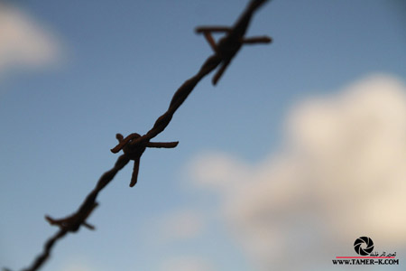http://www.paliraq.com/images/paliraq2012/sarafand/1%20%2813%29.jpg