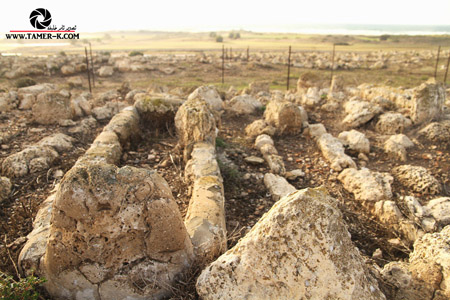 http://www.paliraq.com/images/paliraq2012/sarafand/1%20%2816%29.jpg