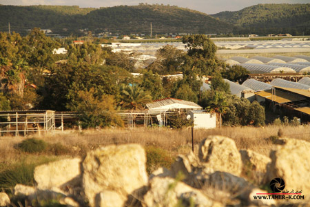 http://www.paliraq.com/images/paliraq2012/sarafand/1%20%2823%29.jpg