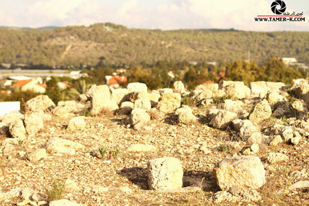 http://www.paliraq.com/images/paliraq2012/sarafand/1%20%2827%29.jpg