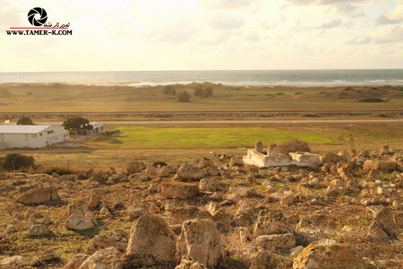 http://www.paliraq.com/images/paliraq2012/sarafand/1%20%2835%29.jpg