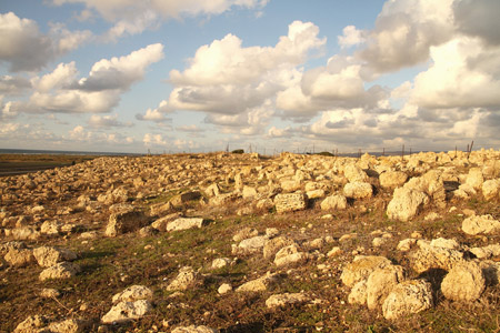 http://www.paliraq.com/images/paliraq2012/sarafand/1%20%2836%29.jpg