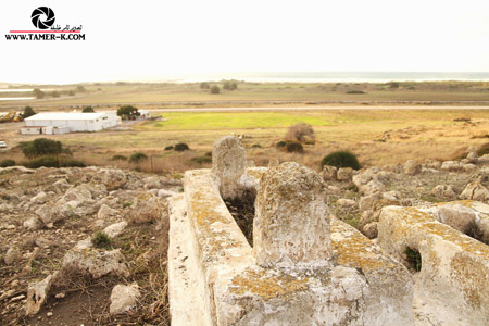 http://www.paliraq.com/images/paliraq2012/sarafand/1%20%2838%29.jpg