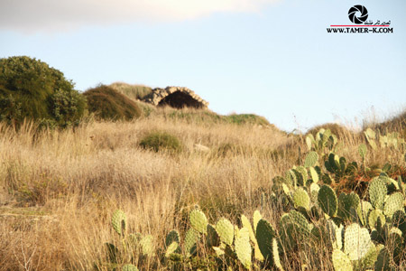 http://www.paliraq.com/images/paliraq2012/sarafand/1%20%284%29.jpg