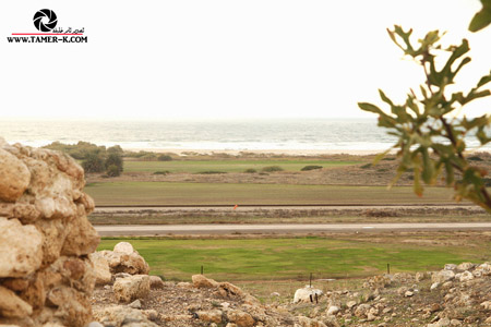 http://www.paliraq.com/images/paliraq2012/sarafand/1%20%2846%29.jpg