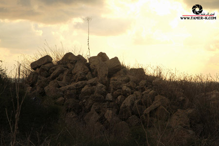 http://www.paliraq.com/images/paliraq2012/sarafand/1%20%2848%29.jpg