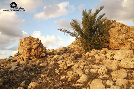 http://www.paliraq.com/images/paliraq2012/sarafand/1%20%2854%29.jpg