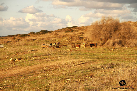 http://www.paliraq.com/images/paliraq2012/sarafand/1%20%2863%29.jpg