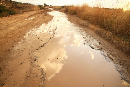 http://www.paliraq.com/images/paliraq2012/sarafand/1%20%2870%29.jpg