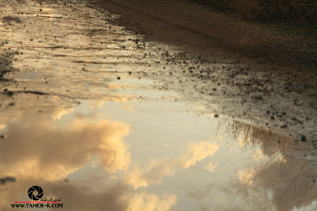 http://www.paliraq.com/images/paliraq2012/sarafand/1%20%2871%29.jpg