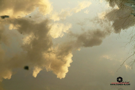 http://www.paliraq.com/images/paliraq2012/sarafand/1%20%2872%29.jpg