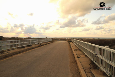 http://www.paliraq.com/images/paliraq2012/sarafand/1%20%2874%29.jpg